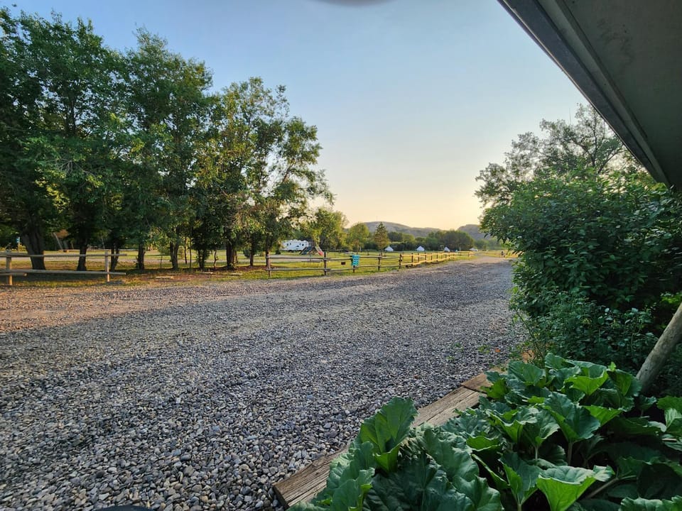 Natural landscape, Garden view