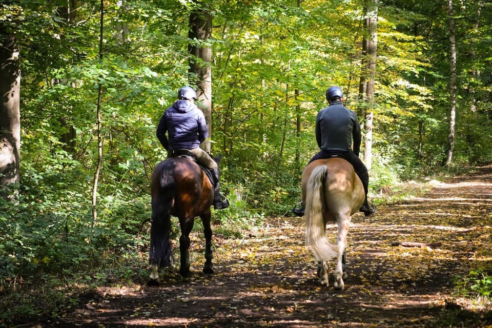 Horse-riding