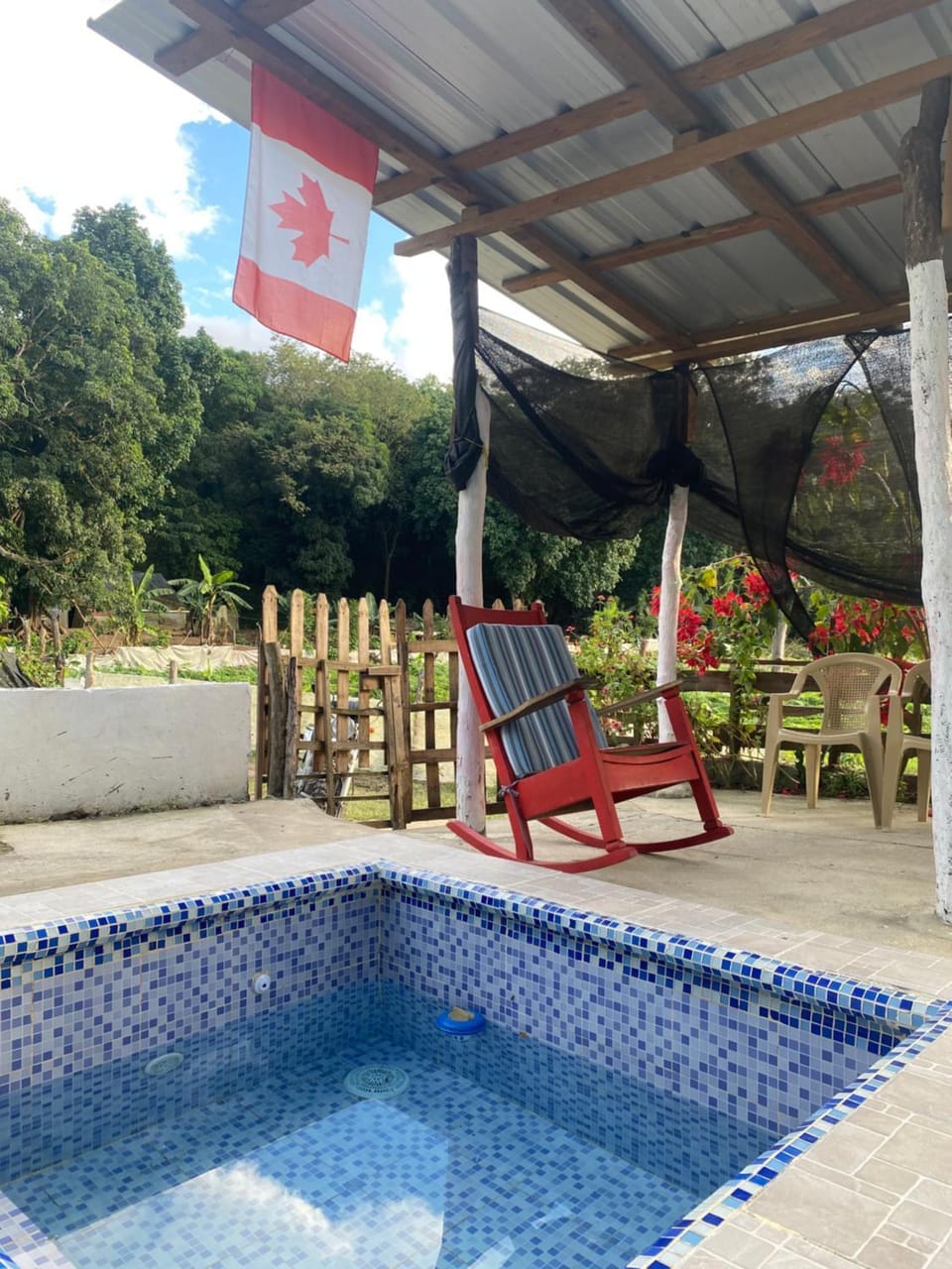 Natural landscape, Garden, Swimming pool