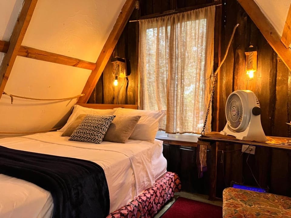 Animals, Garden view