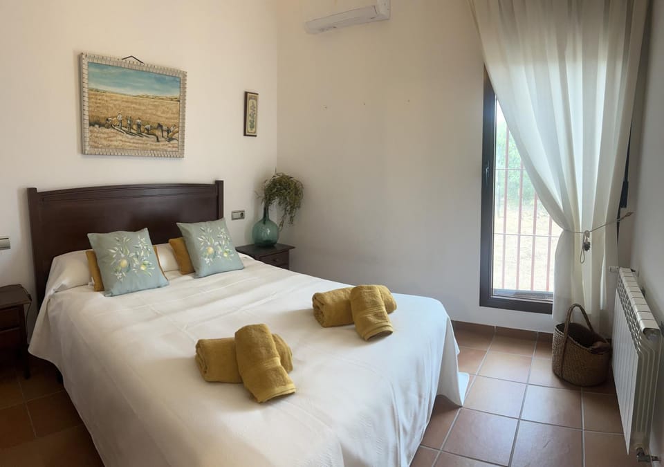 Bed, Photo of the whole room, Bedroom, towels, air conditioner