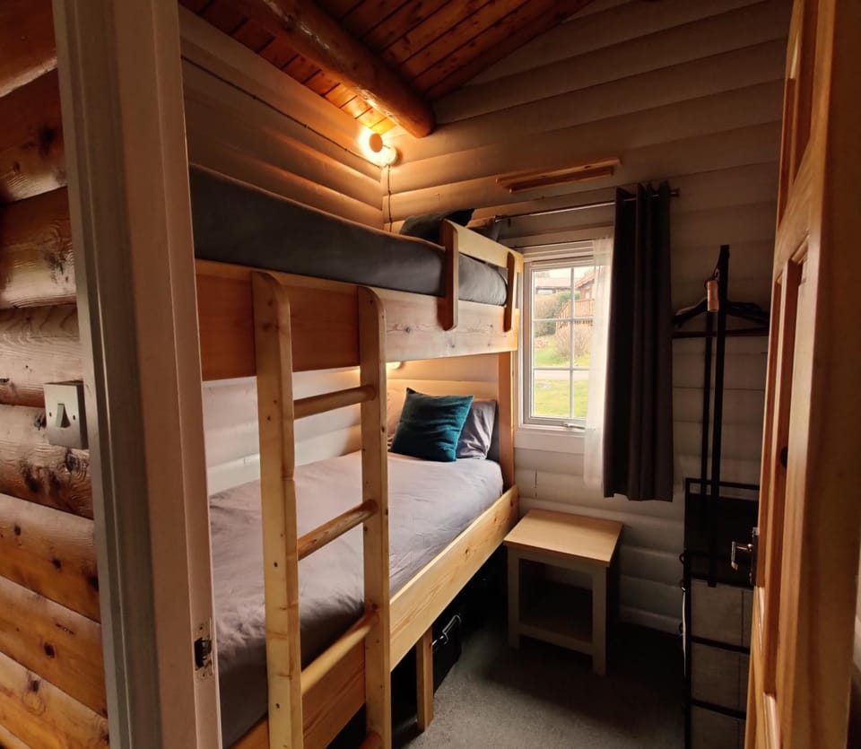 Serene Snowdonia Retreat Chalet in Trawsfynydd