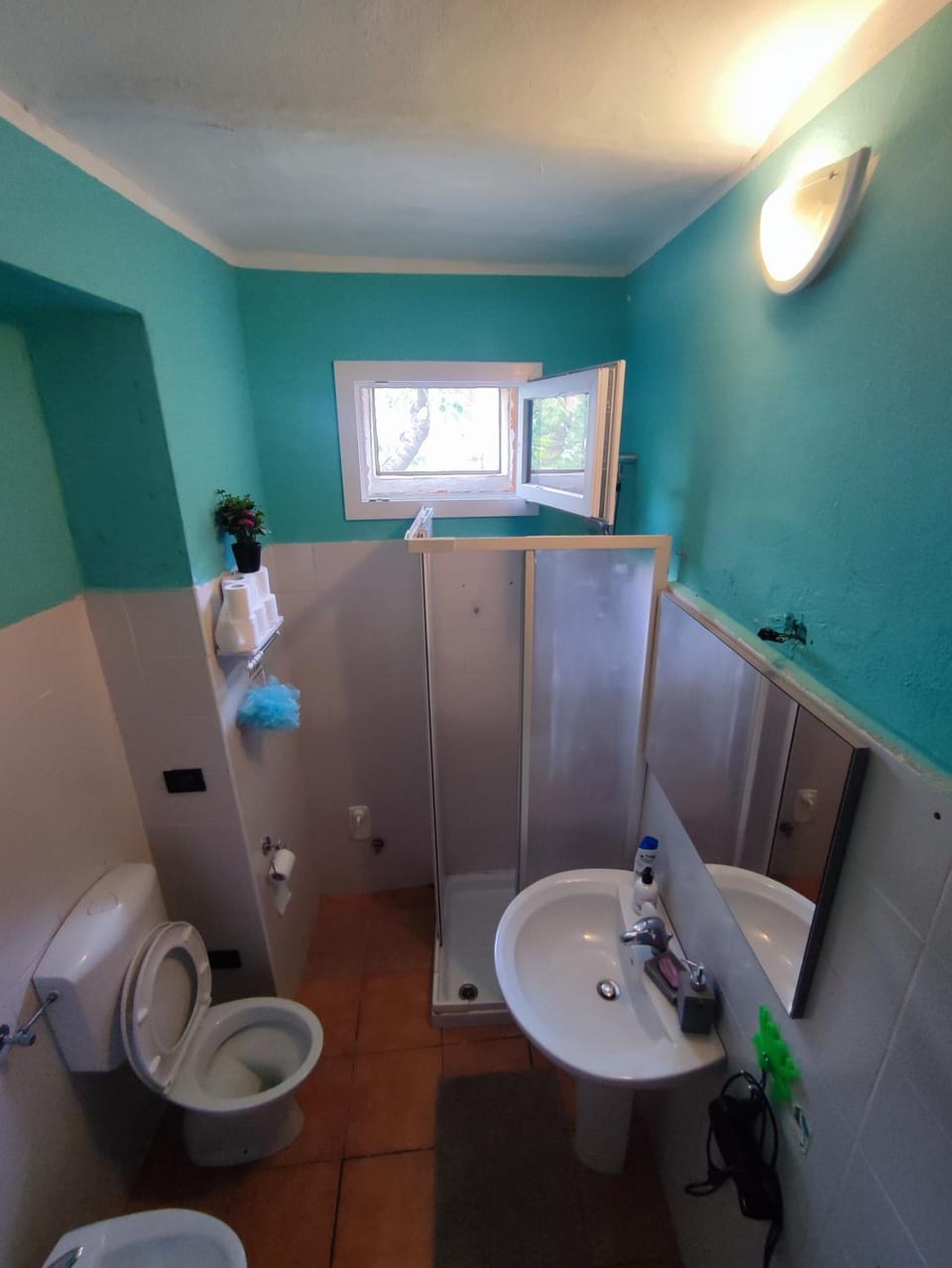 Shower, Toilet, Bathroom, bidet