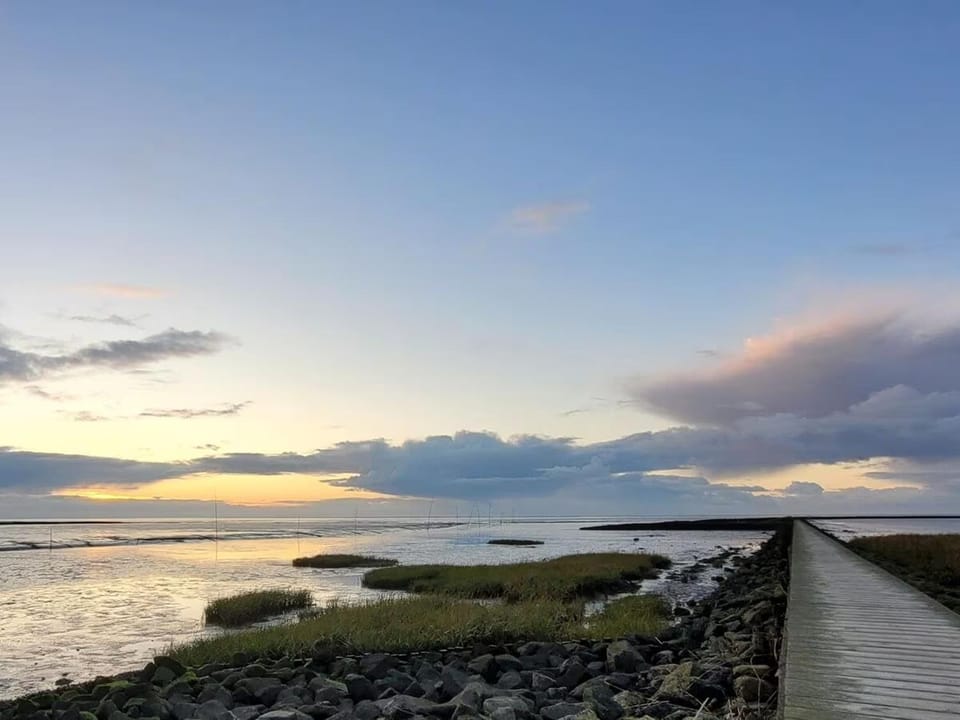 Natural landscape