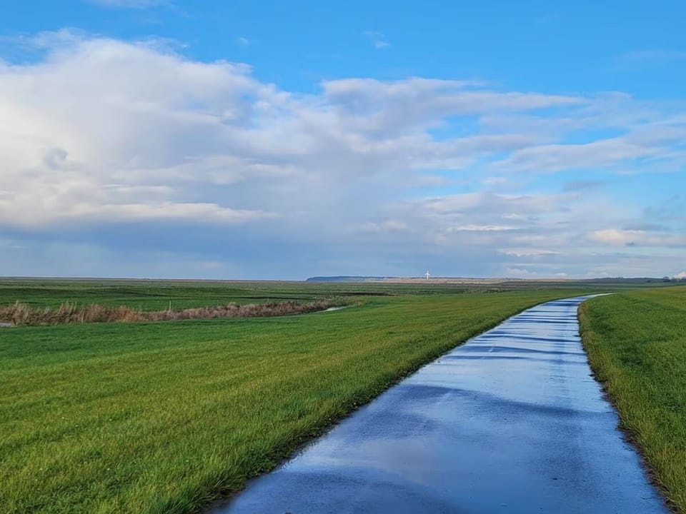 Natural landscape