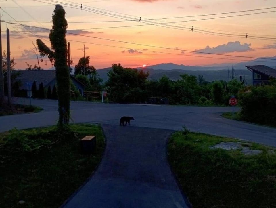 Indoor Pool, Volleyball Beach, Mountain View, Luxury House in Gatlinburg