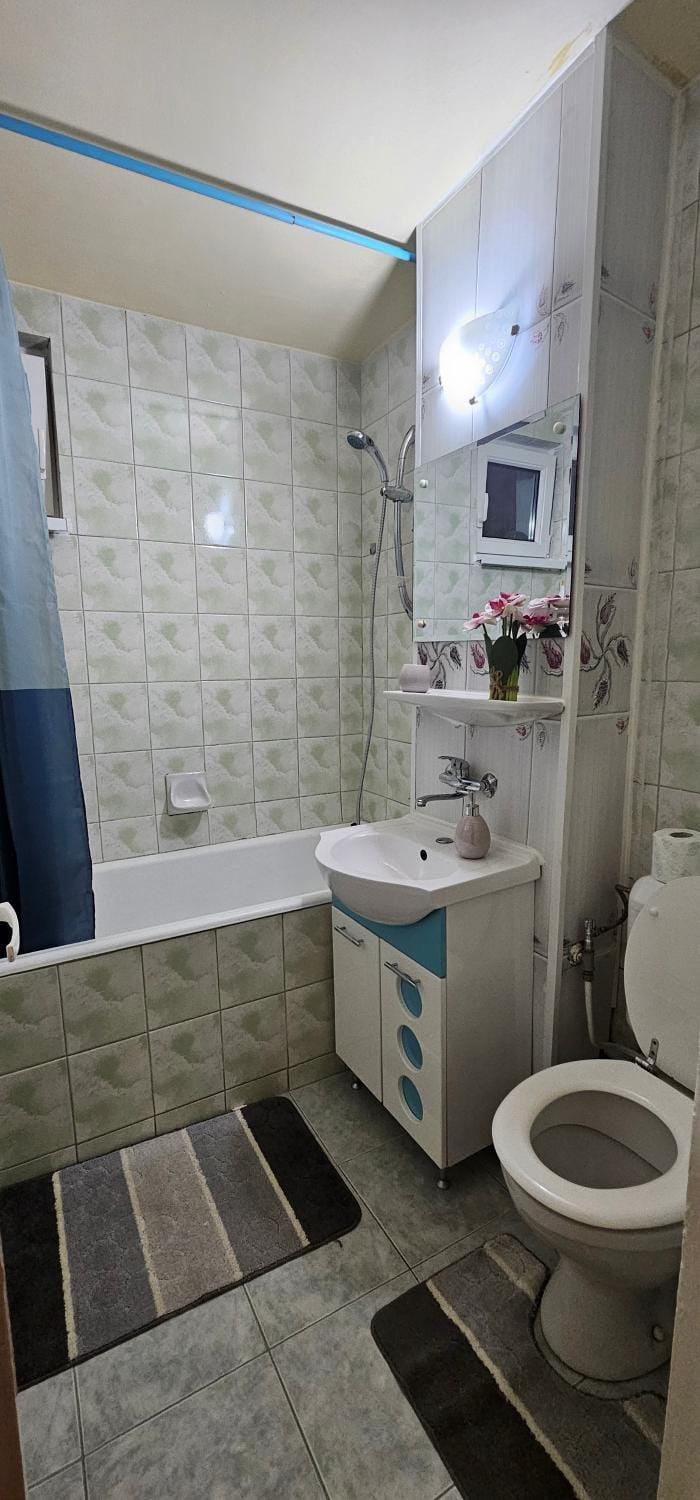 Casa Suzana 2 camere Apartment in Romania
