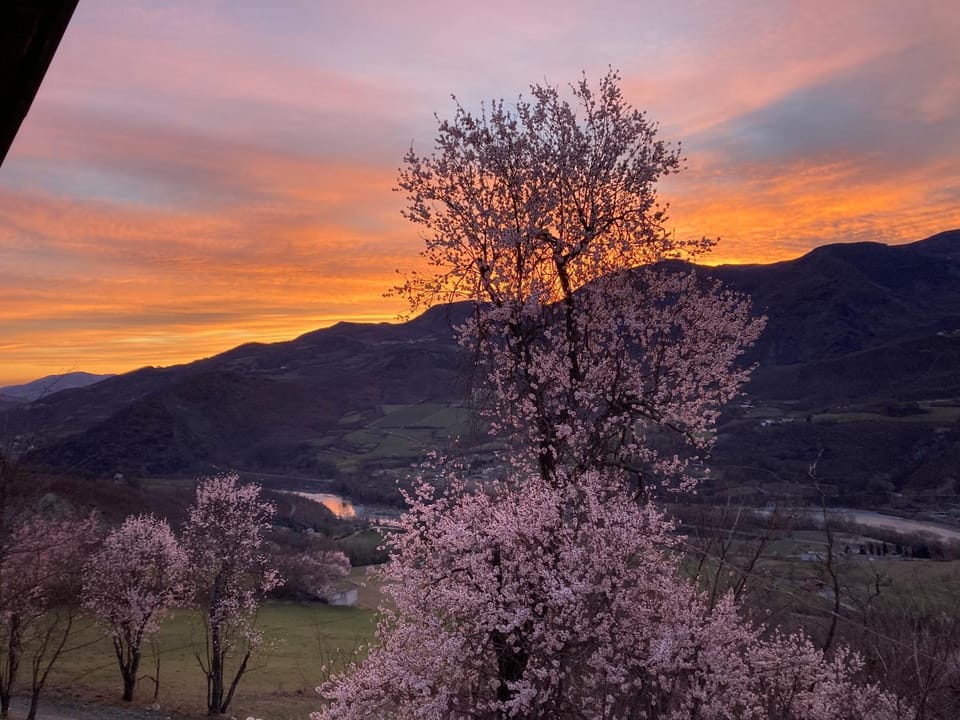 Spring, Natural landscape, River view