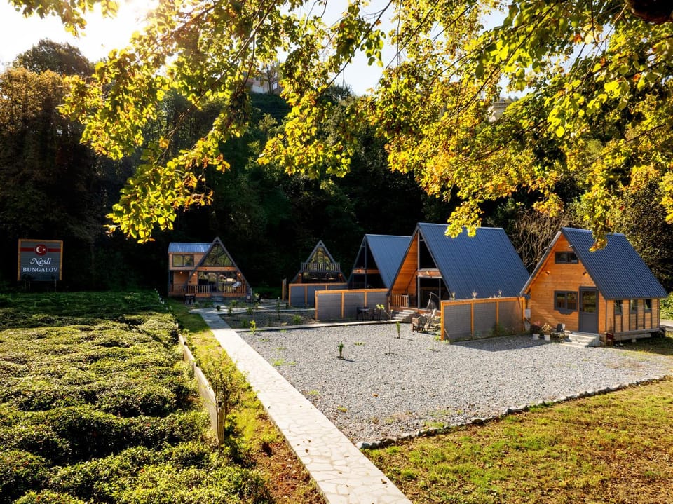 Property building, Natural landscape, Garden view