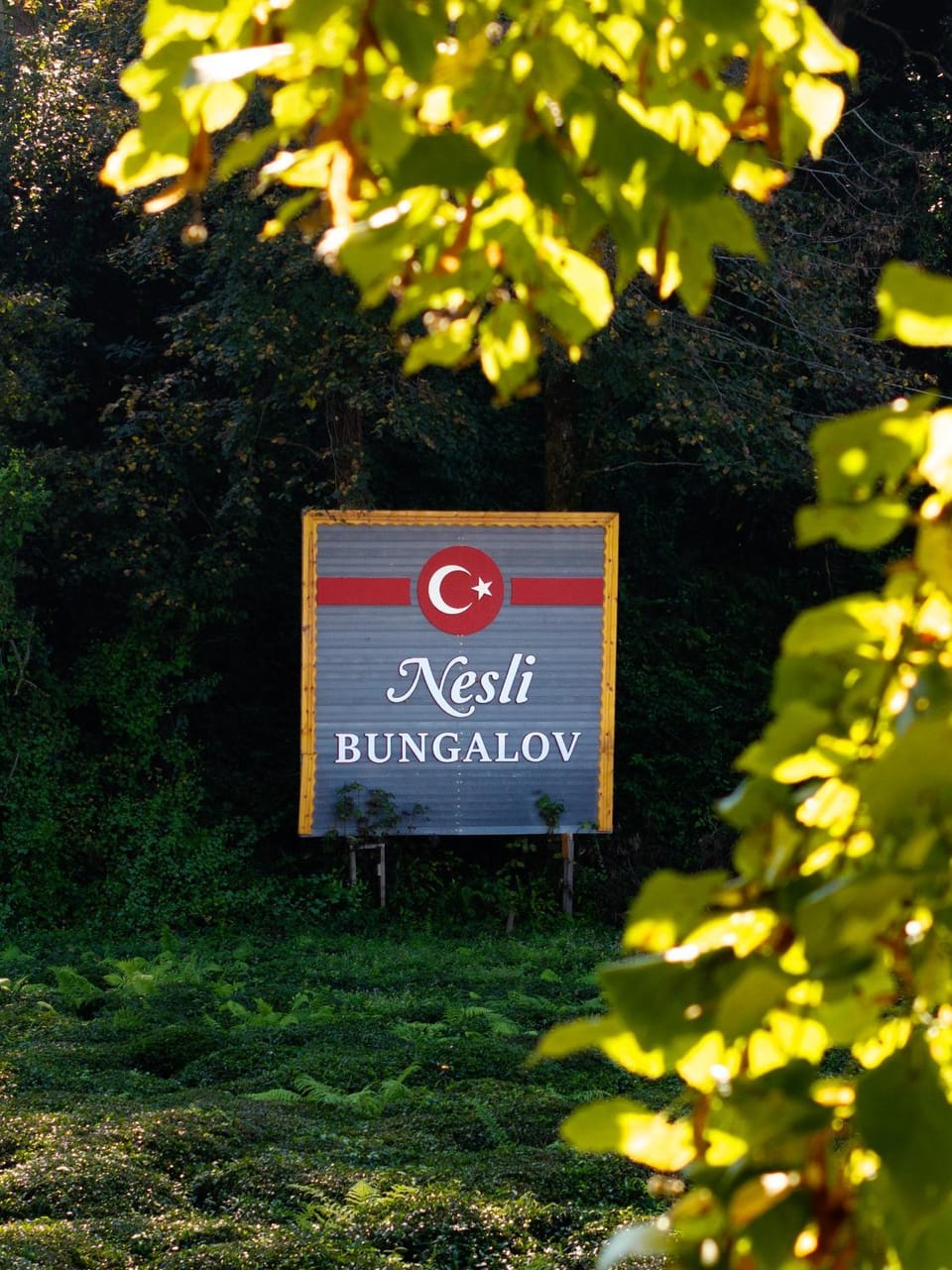 Nesli Villa & Bungalow - 3 no'lu Bungalov (2+1) Villa in Turkey