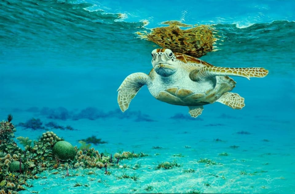 Natural landscape, Activities, Animals