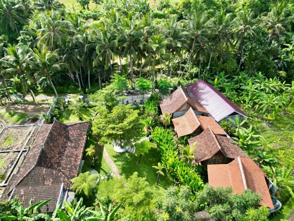 Property building, Bird's eye view, Garden, Garden view