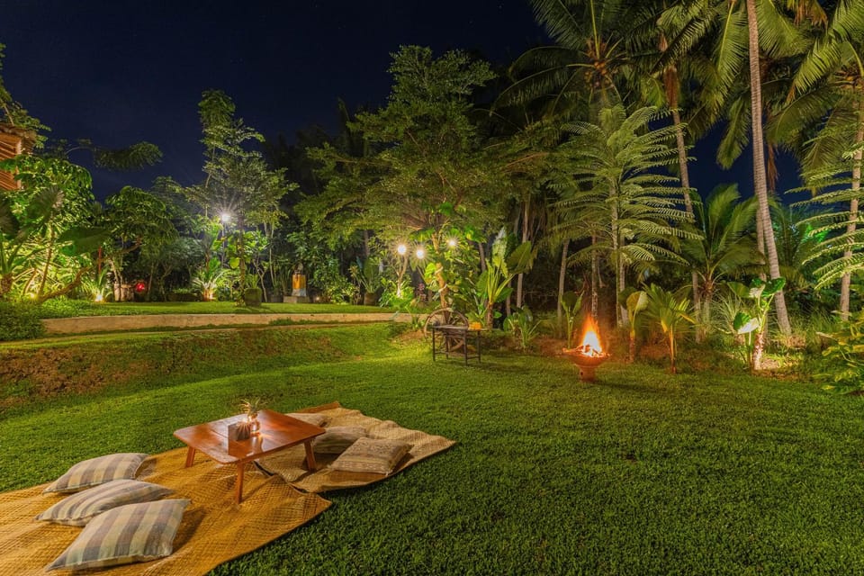 Spring, Night, Natural landscape, Garden, Garden, View (from property/room), Seating area, Garden view, Garden view, flat iron