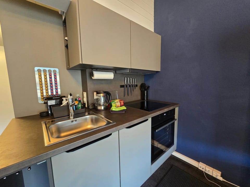 Coffee/tea facilities, Kitchen or kitchenette, minibar, pet friendly, stove, toaster