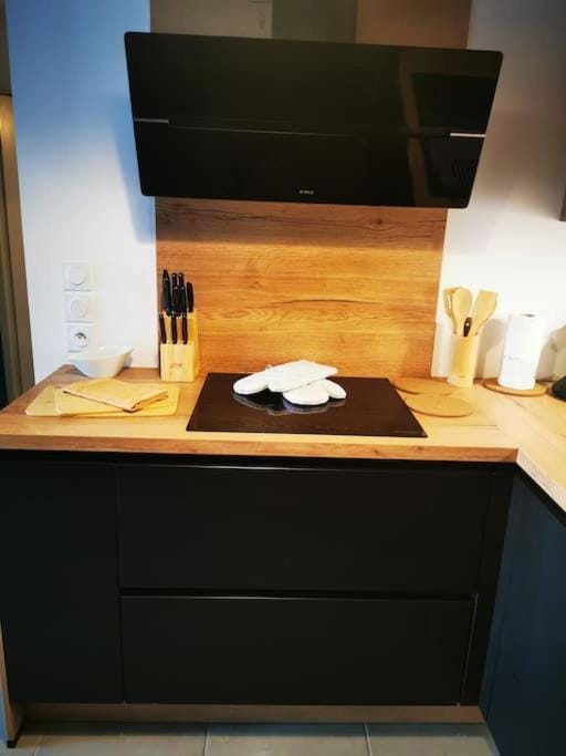 logement le ripaille T3 Apartment in Thonon-les-Bains
