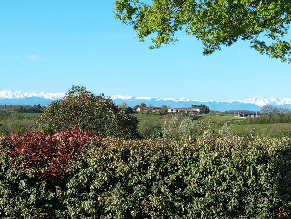 Lahitte House in Occitanie