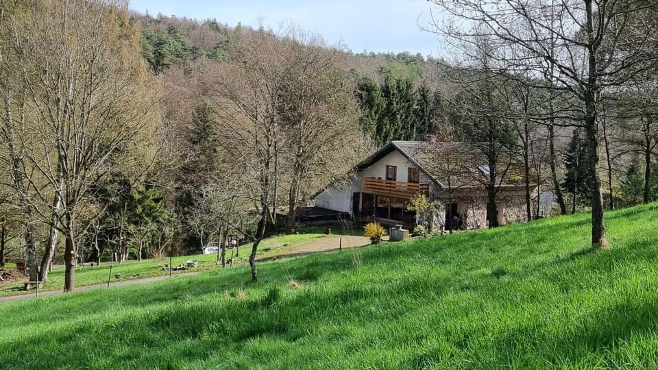 Property building, Natural landscape, Garden
