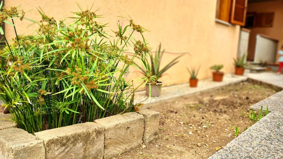 Appartamento Salvatore Apartment in Porto Azzurro