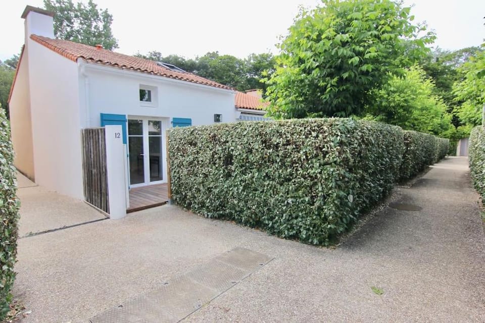 Property building, Garden, Garden view