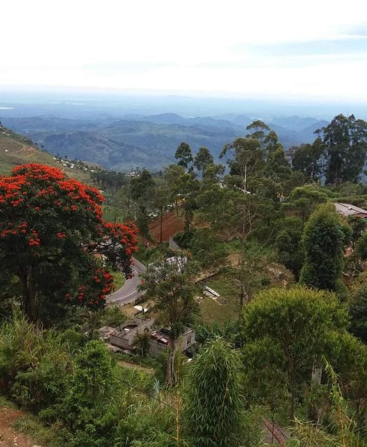 The Cozy B by Bawas Vacation rental in Uva Province, Sri Lanka