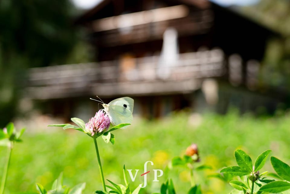 Grand Chalet Verbier Apartment in Riddes