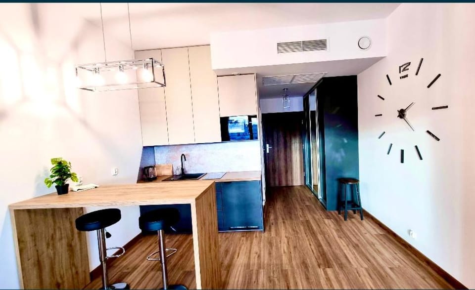 Hanza Tower De Lux Green Apartment in Szczecin