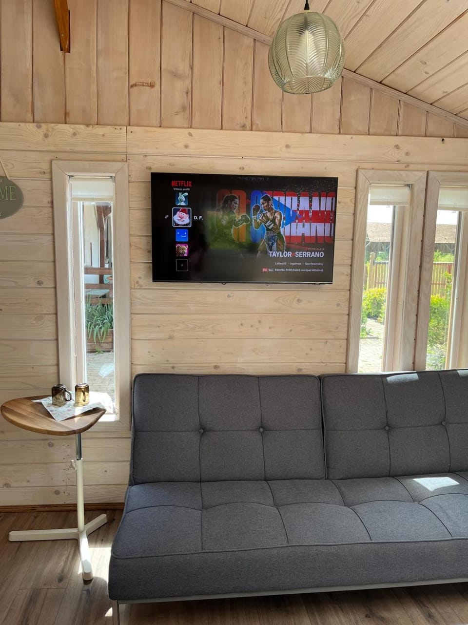 TV and multimedia, internet