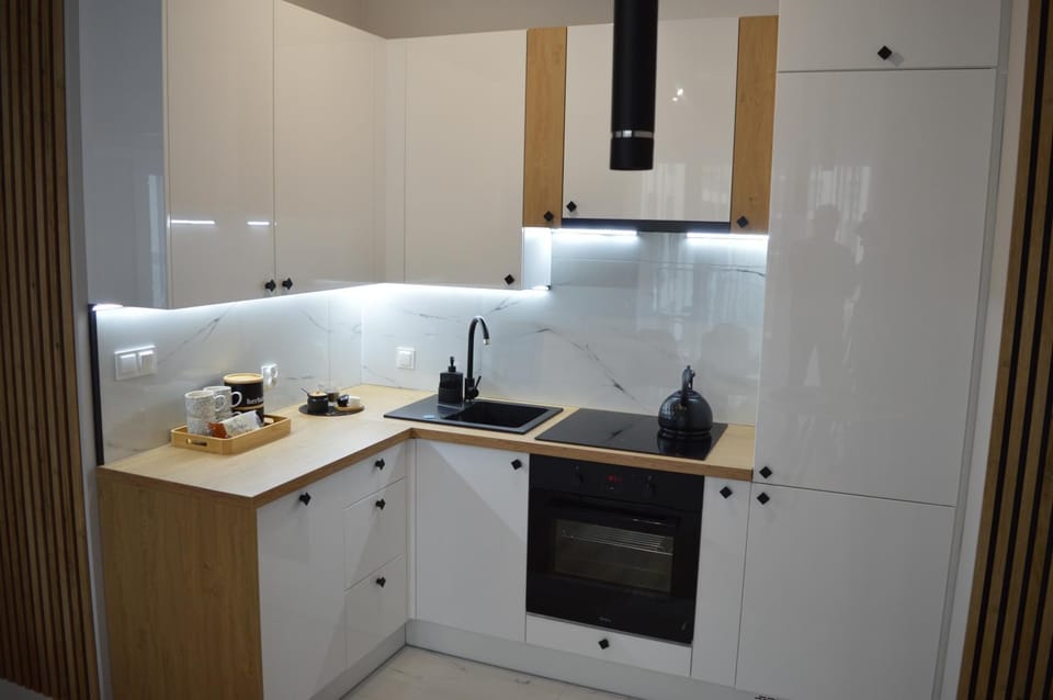 Apartament NATURIA-Blue Apartment in Greater Poland Voivodeship
