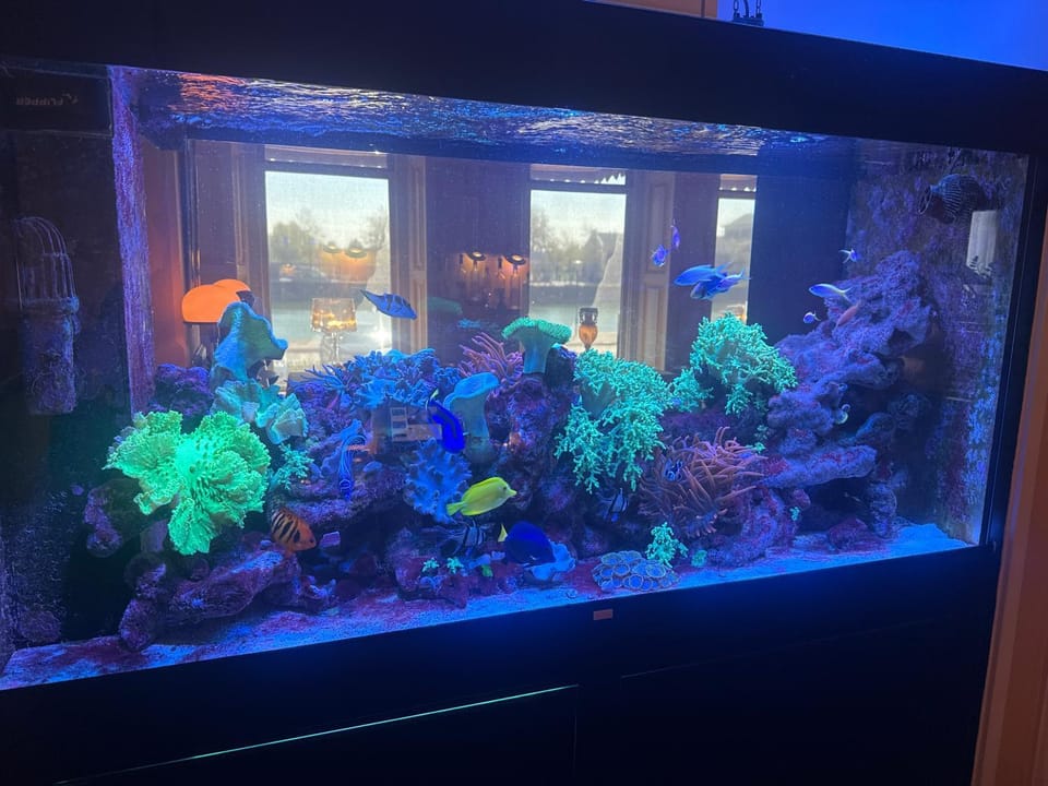 Hotel Le Beau Rivage Hotel in Middelburg