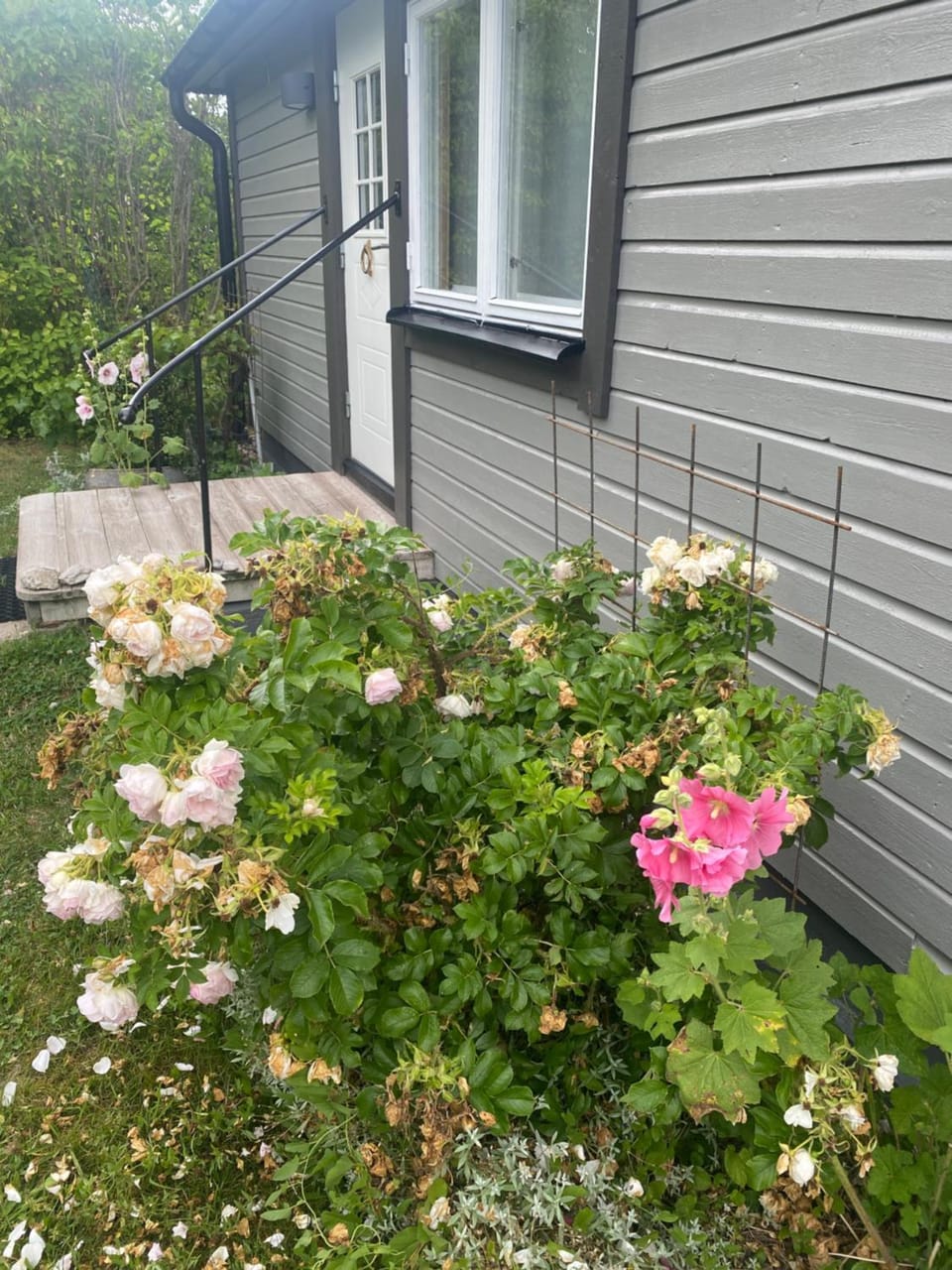 Property building, Garden