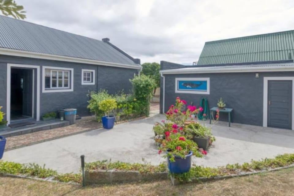 Garden, Garden, Garden view