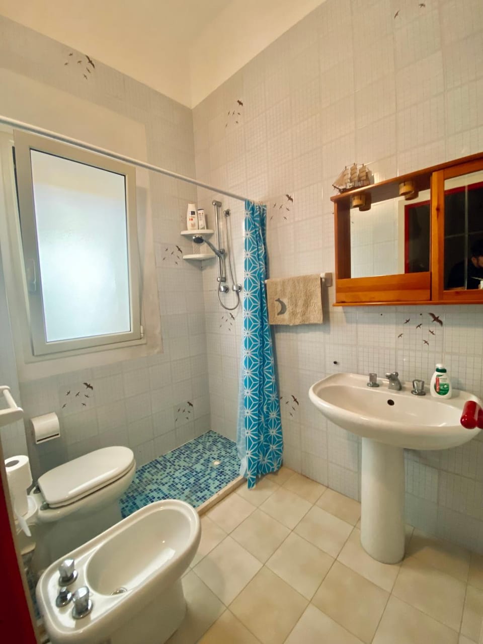 Shower, Toilet, Bathroom, bidet, towels