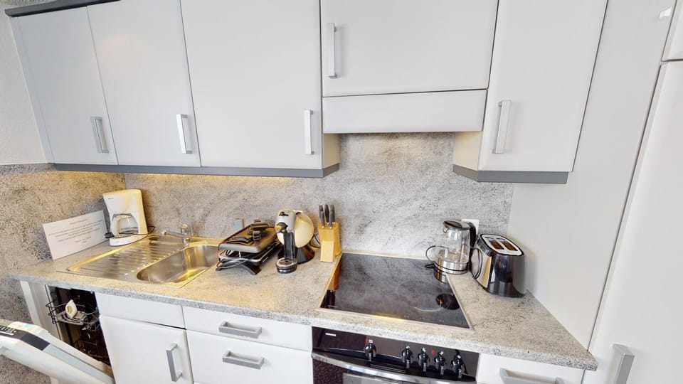 Kitchen or kitchenette, dishwasher, stove
