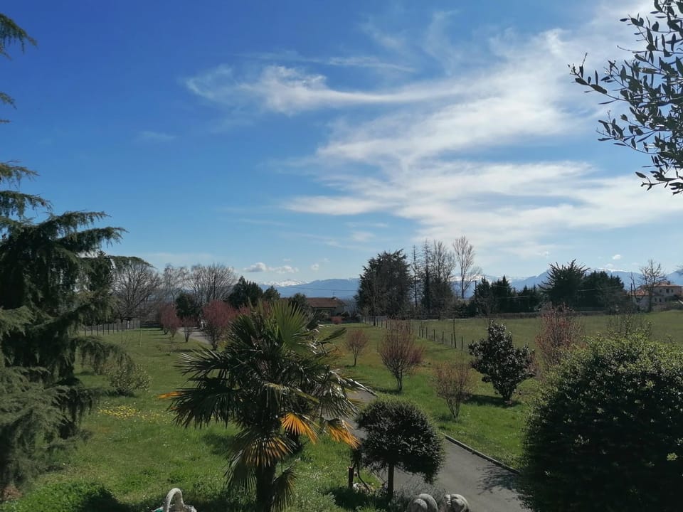 Mountain view