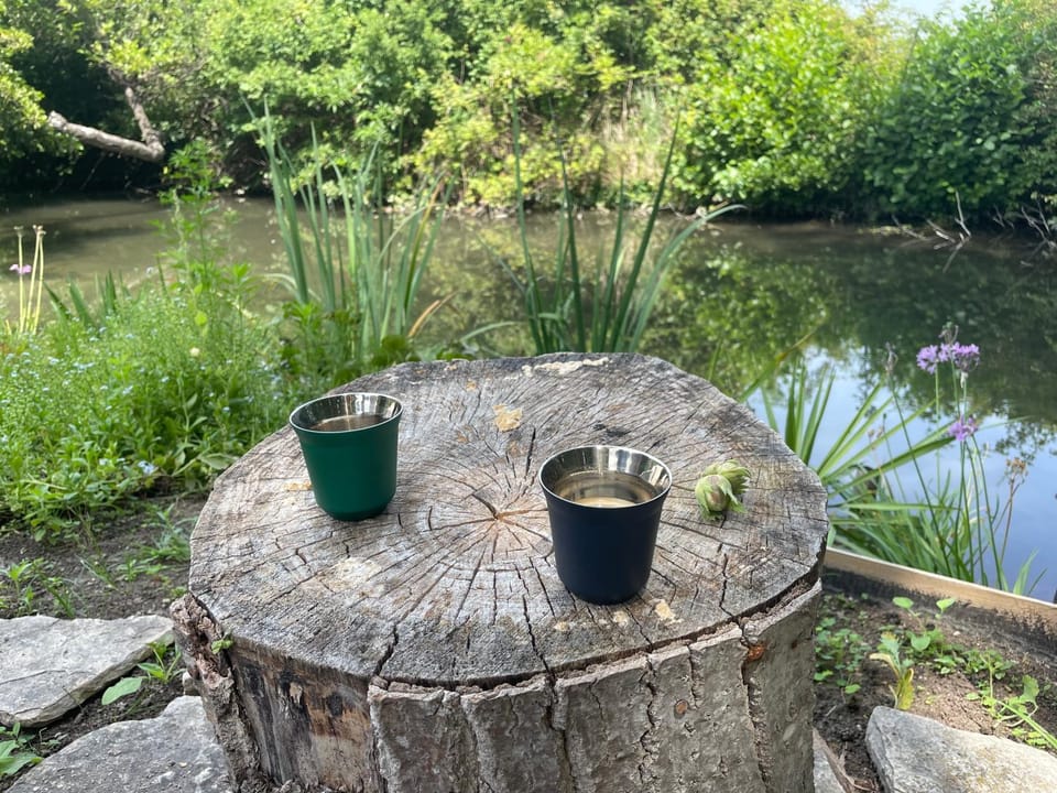 Natural landscape, Garden, River view