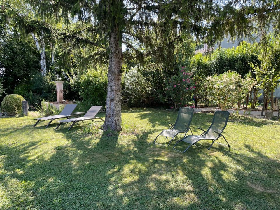 Natural landscape, Garden, Garden view, sunbed