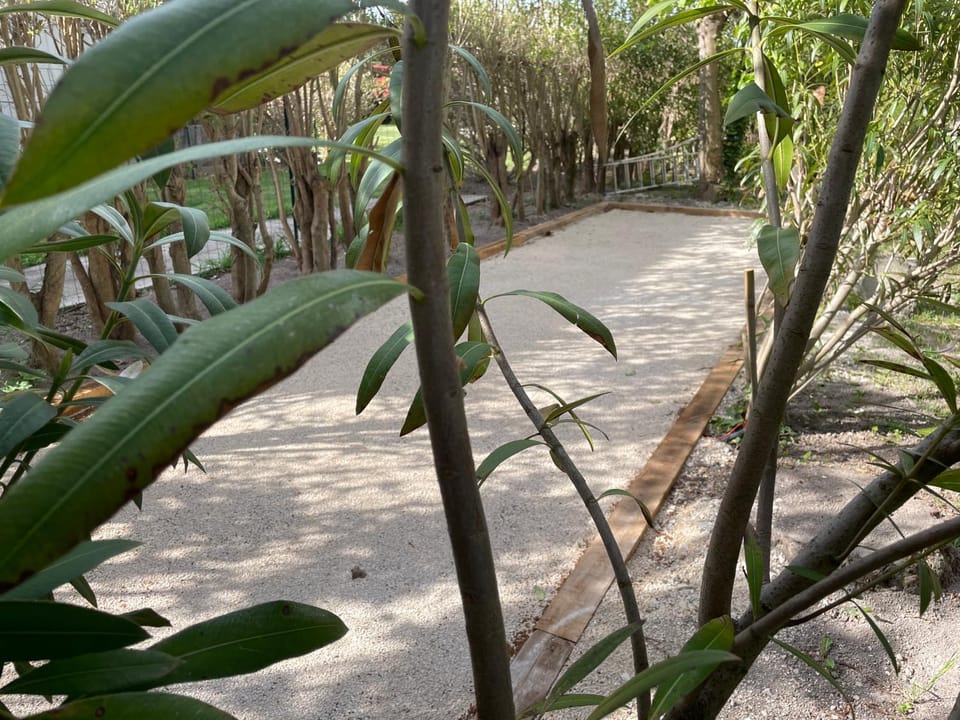 Garden, Garden