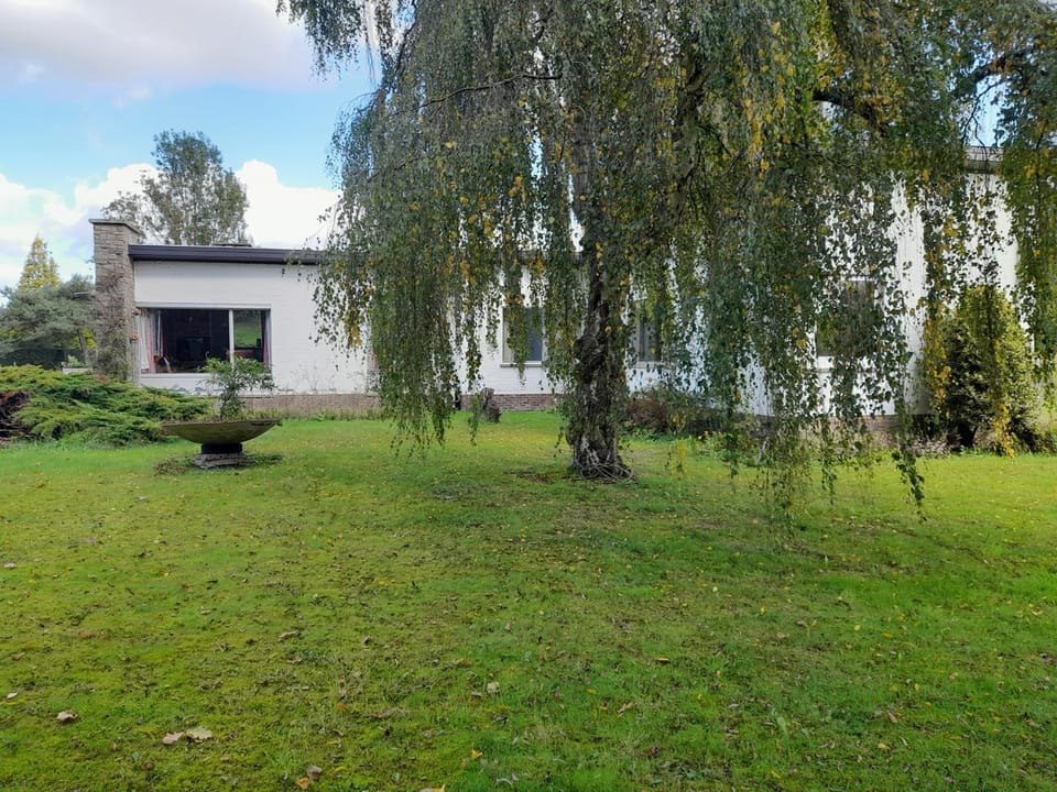Spring, Garden, Garden, Garden view