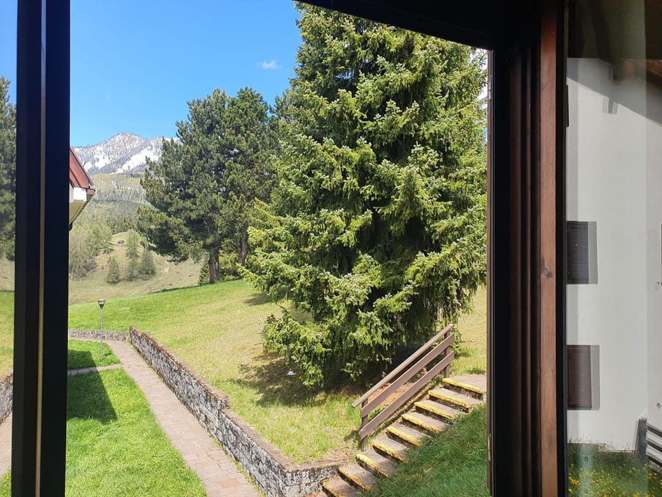 Inner courtyard view