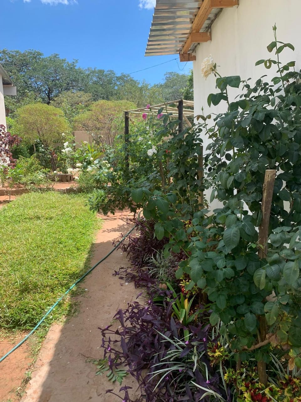 Rosewood Safari Cottages Vacation rental in Africa