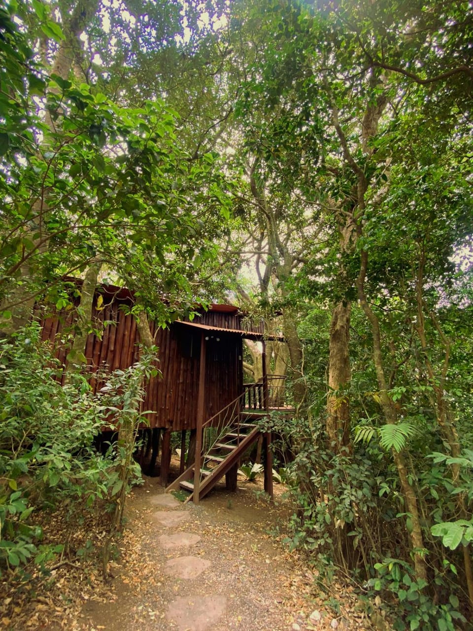 Natural landscape, Garden