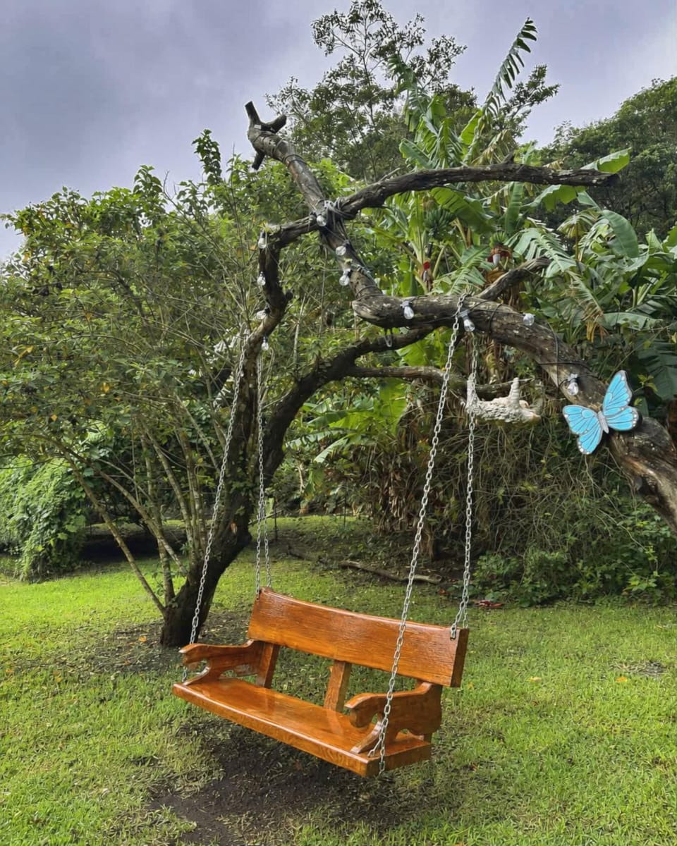 Children play ground