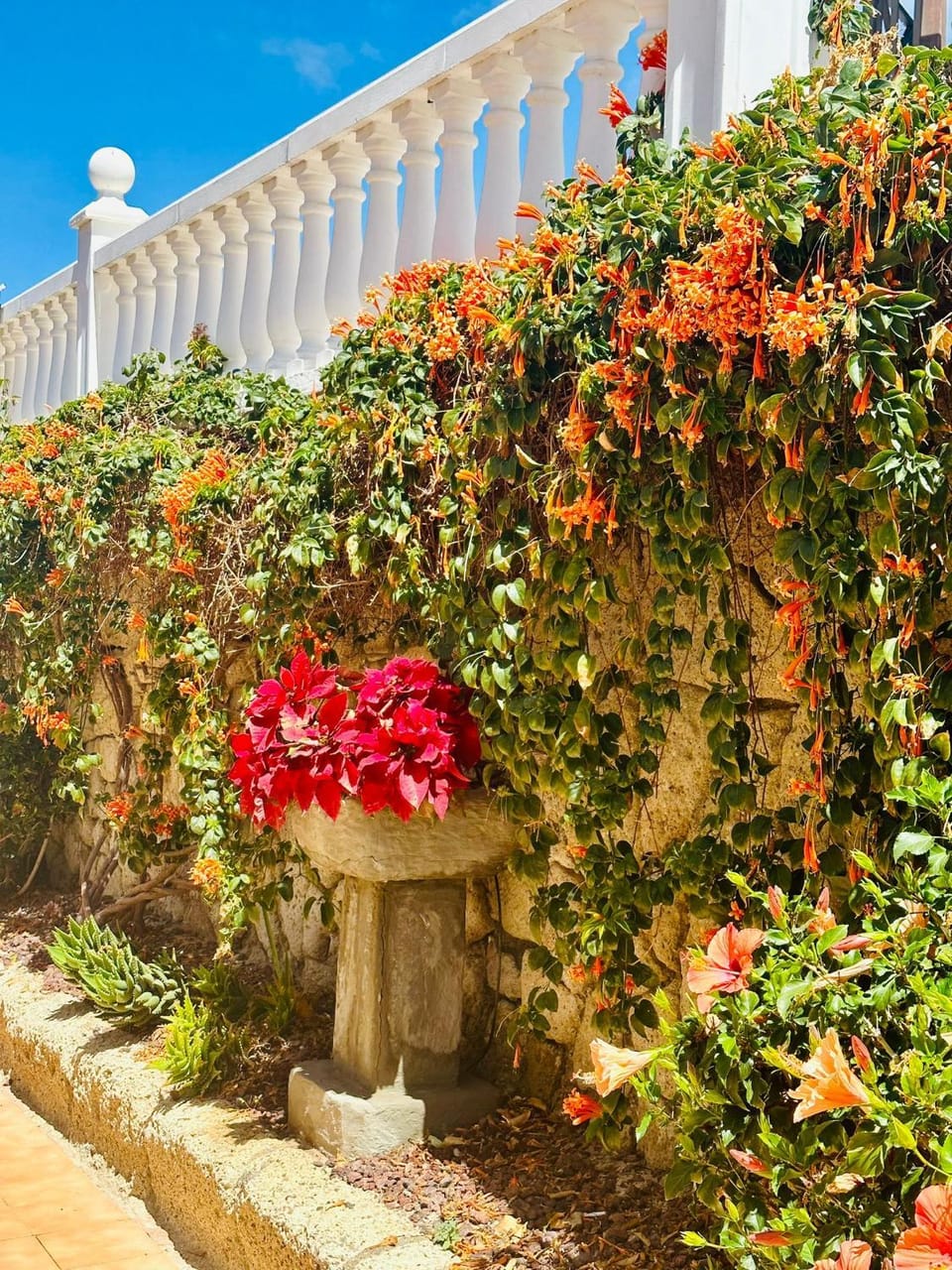 Property building, Garden