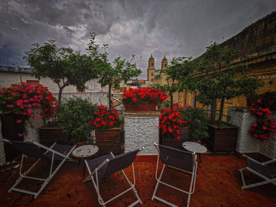Patio, Day, Garden, Garden view