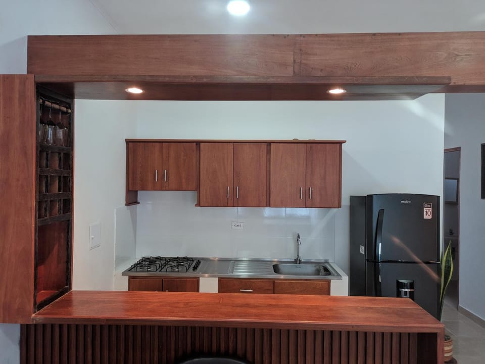 Kitchen or kitchenette, minibar, stove