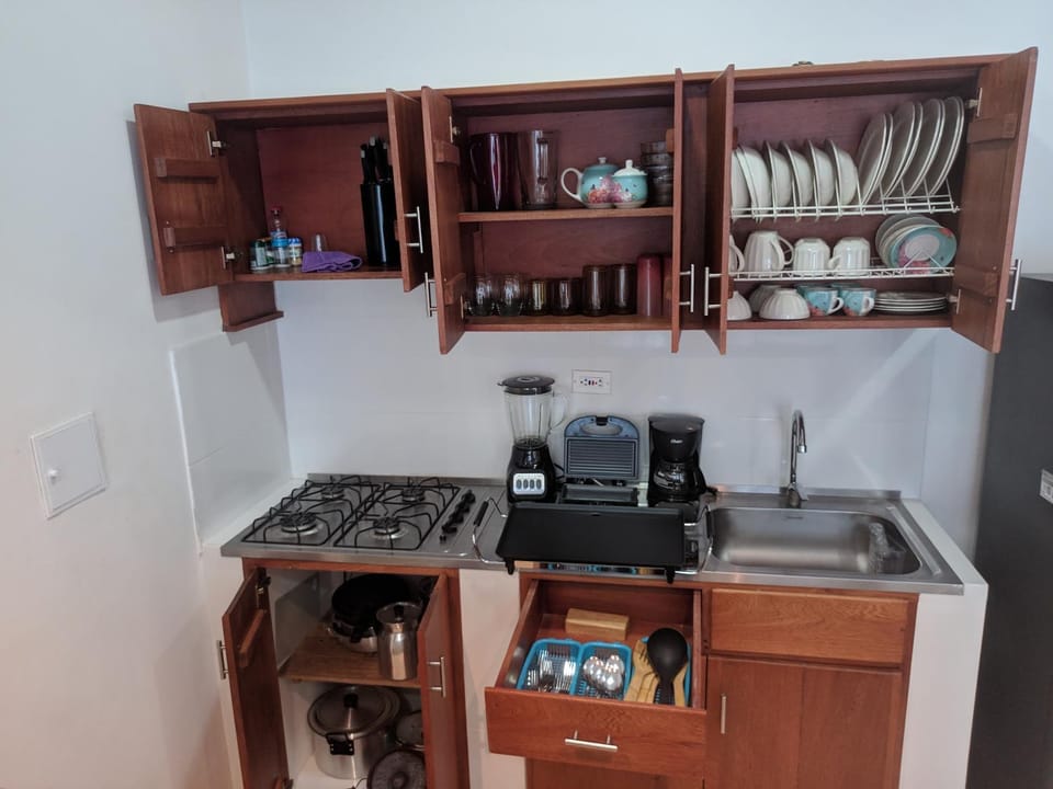 Coffee/tea facilities, Kitchen or kitchenette, minibar, stove, toaster