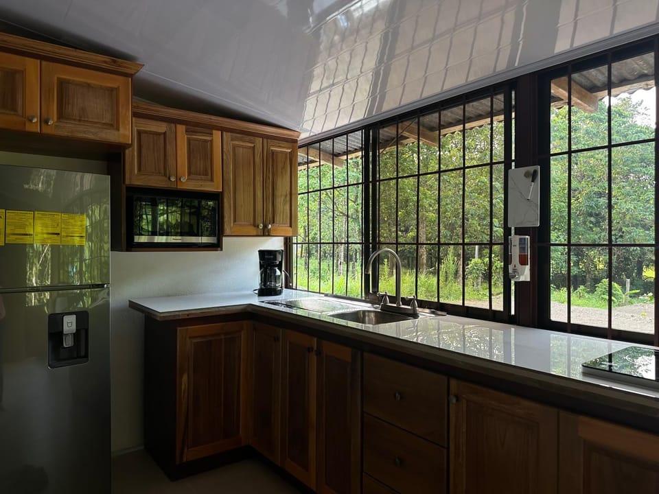 Kitchen or kitchenette, minibar, stove