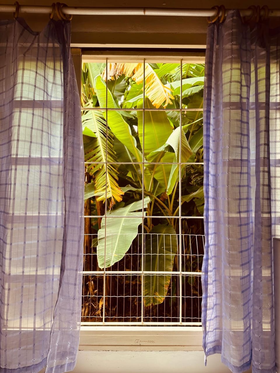 Chalé Amarelo House in State of Goiás