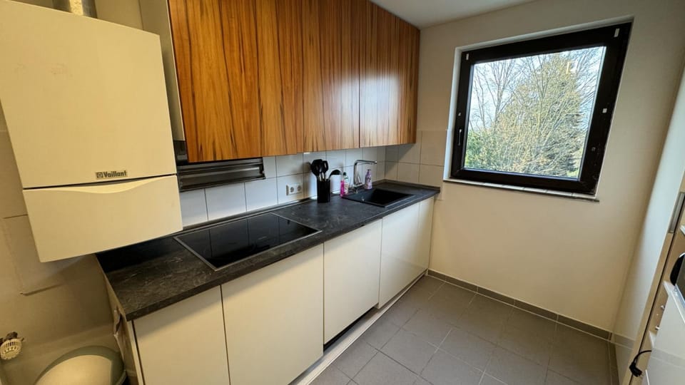 Kitchen or kitchenette, dishwasher, stove