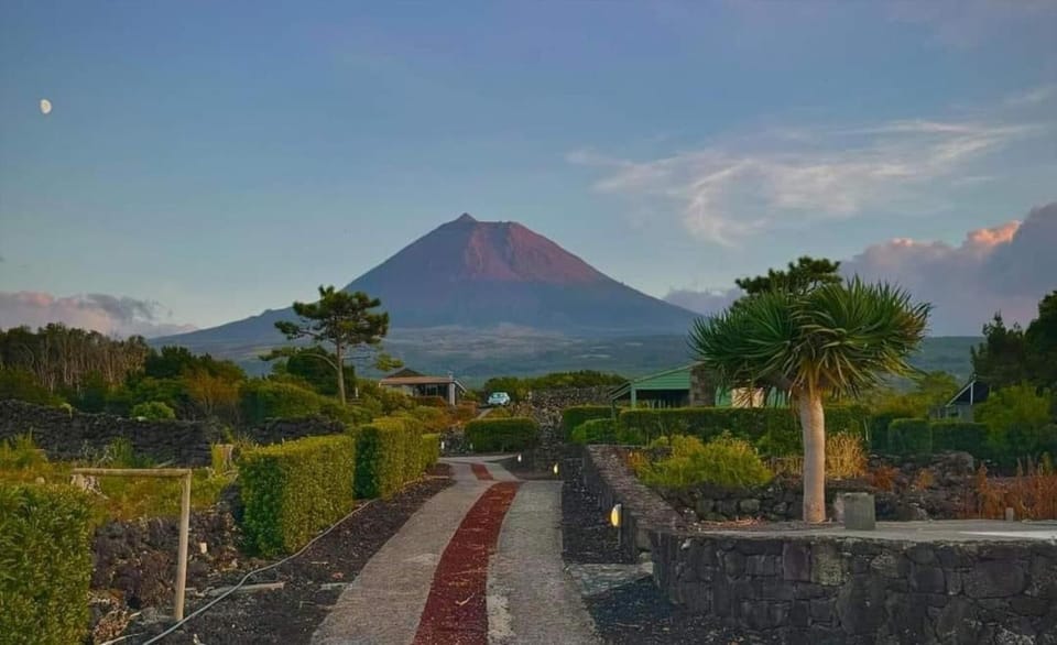 Garden, Mountain view